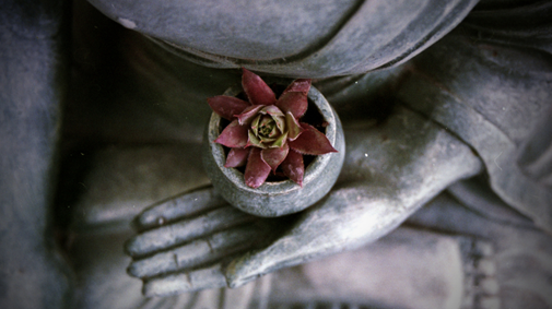 corsi di yoga Studio Libra Trieste